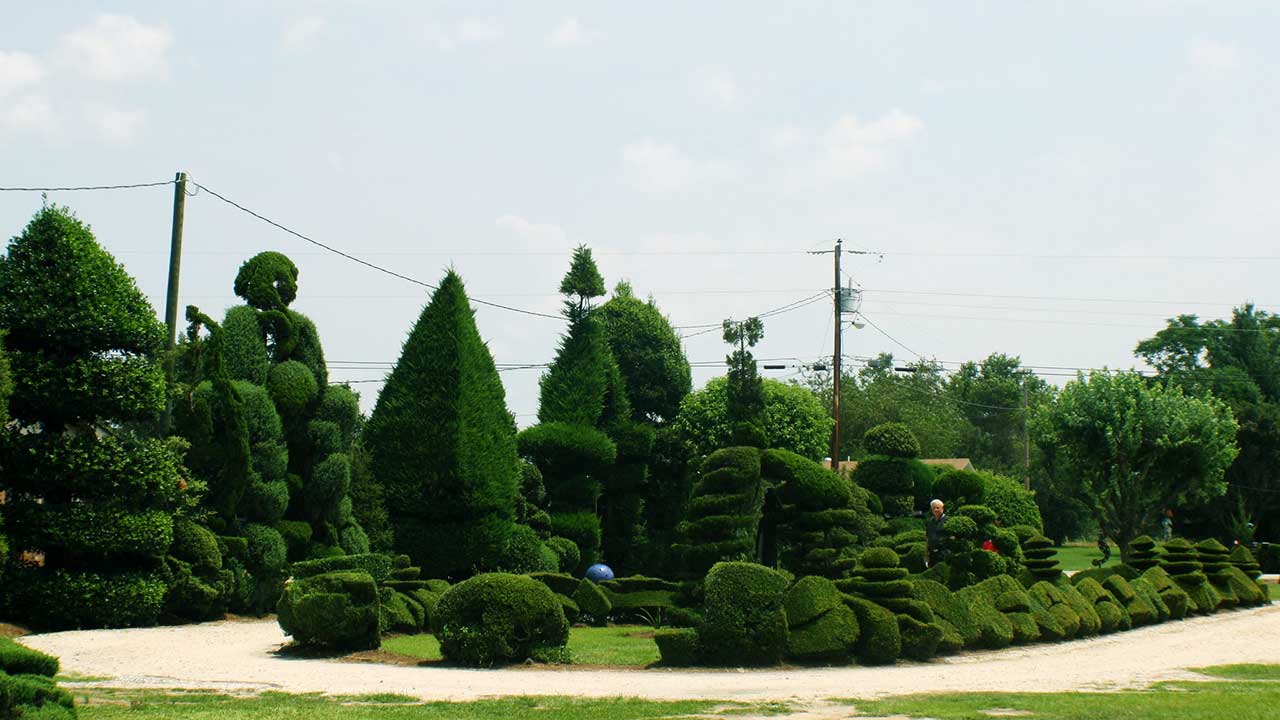 Pearl Fryar Topiary Garden – Bishopville, South Carolina