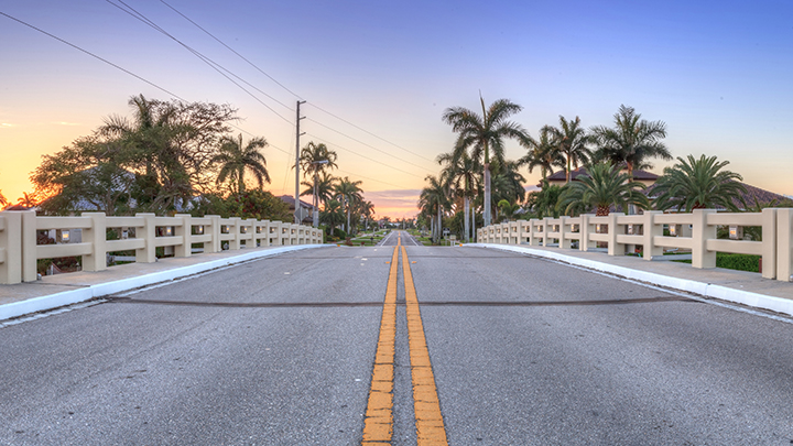 A road winds into the distance near sunset, palm trees lining the path. 