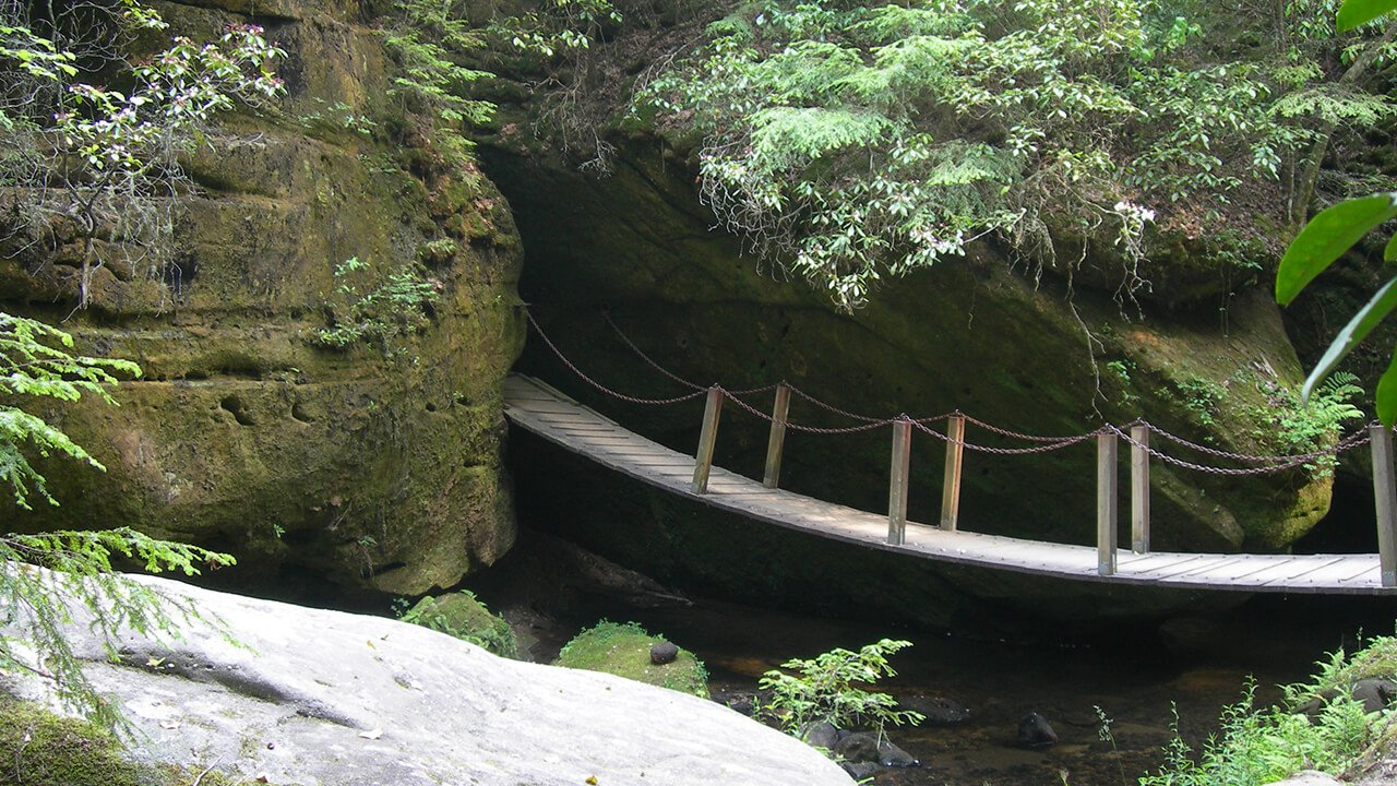 Dismals Canyon in Alabama