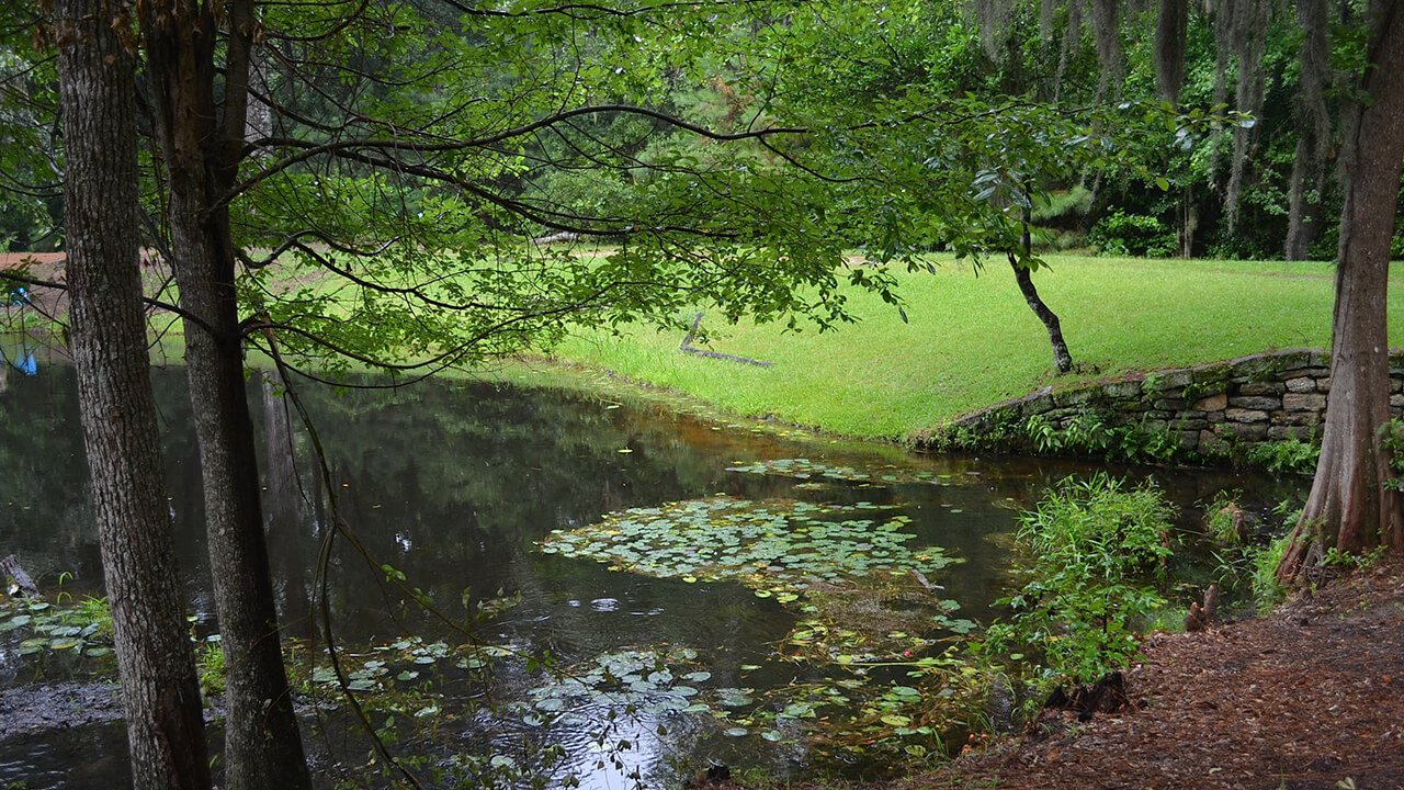 Poinsett State Park — Wedgefield, SC  