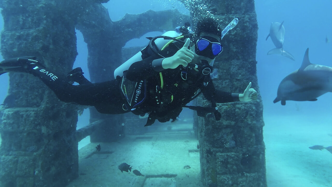 Neptune Memorial Reef