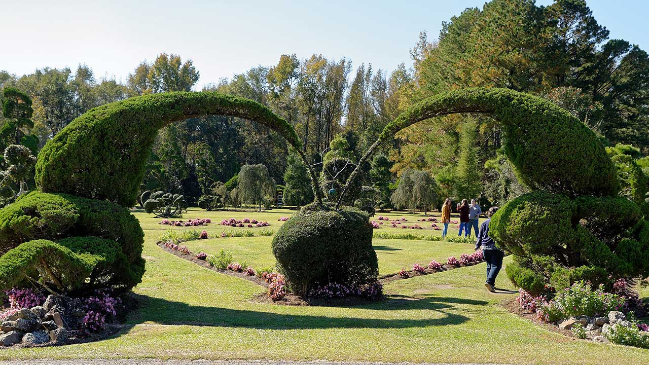 Pearl Fryar Topiary Garden – Bishopville, South Carolina